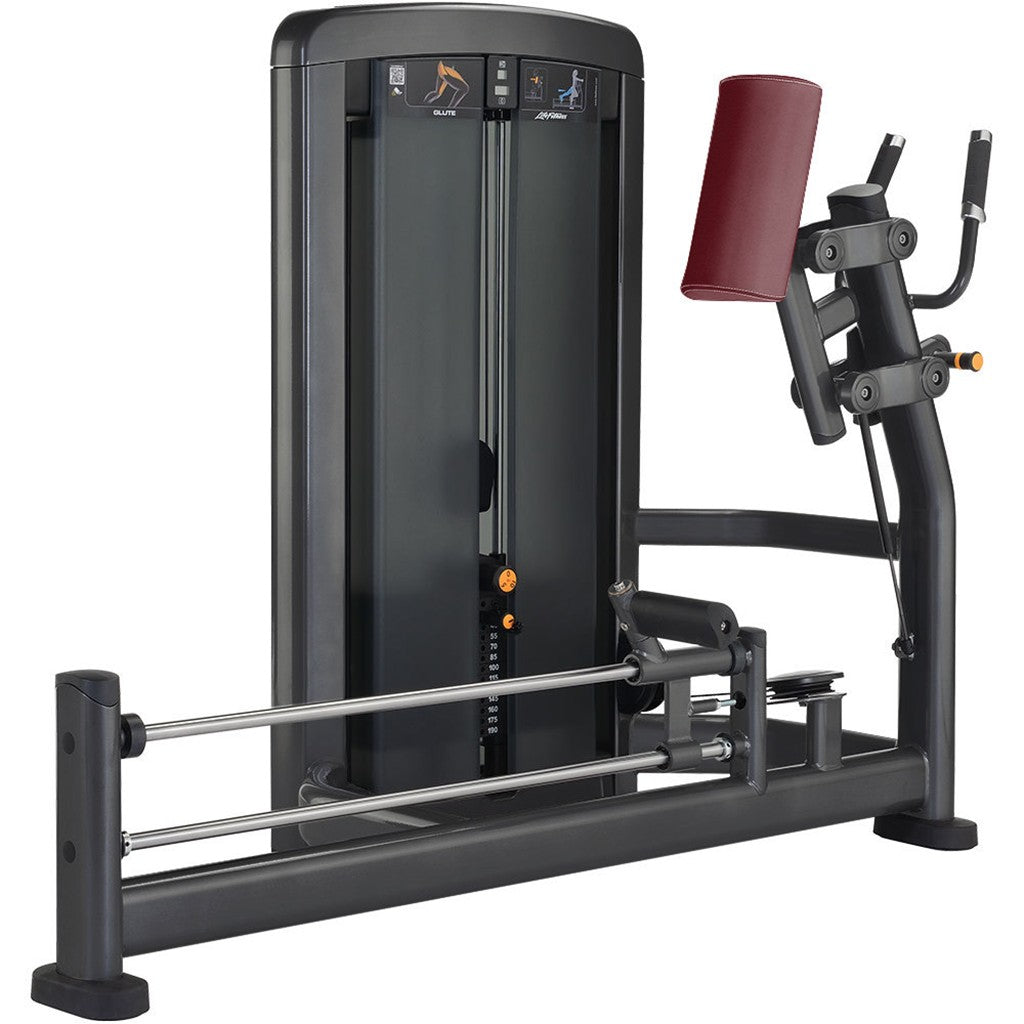 Insignia Series Glute Standard