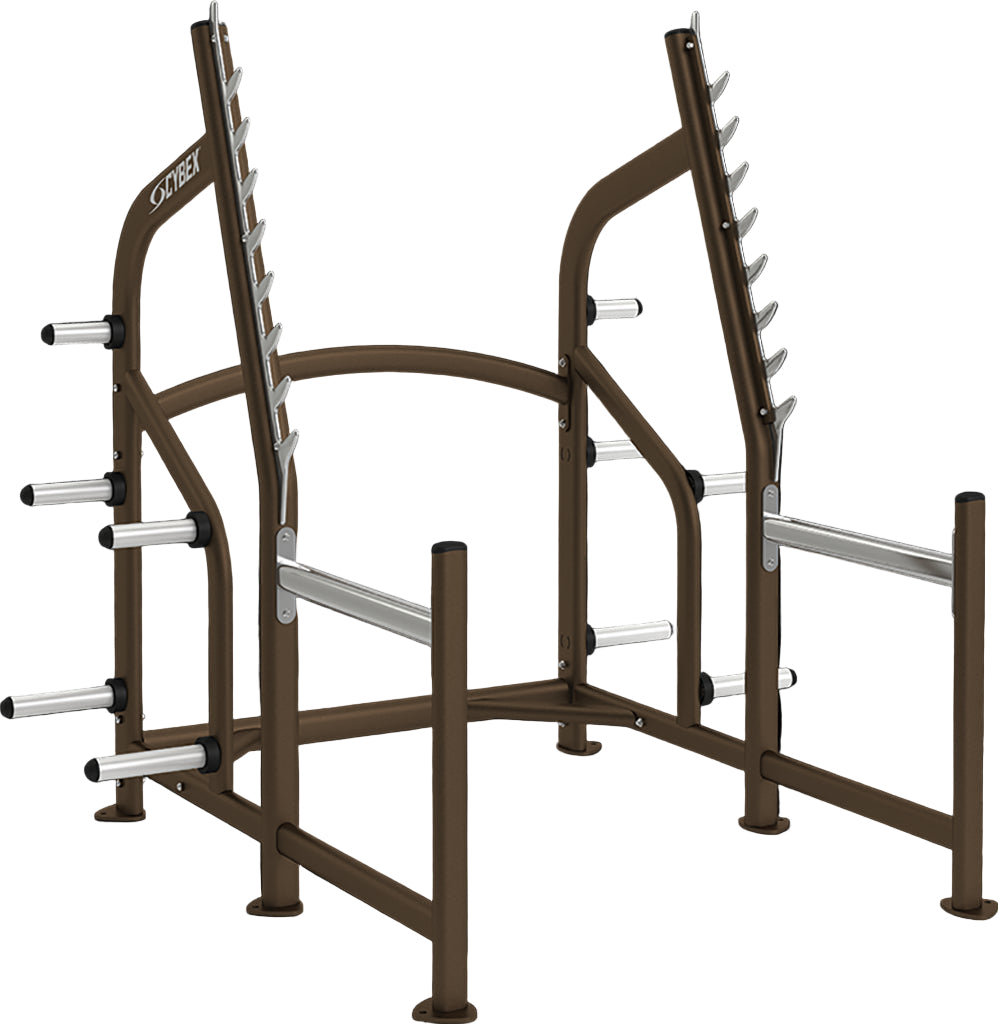 Barbell rack with weight plates on a transparent background