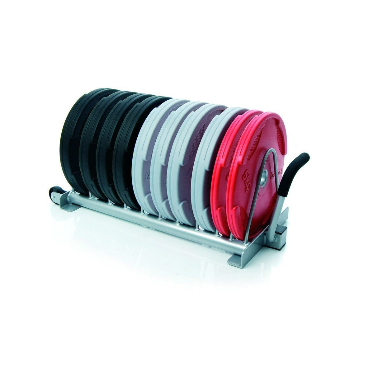 Olympic Disc Toast Rack