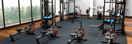 Functional Exercise