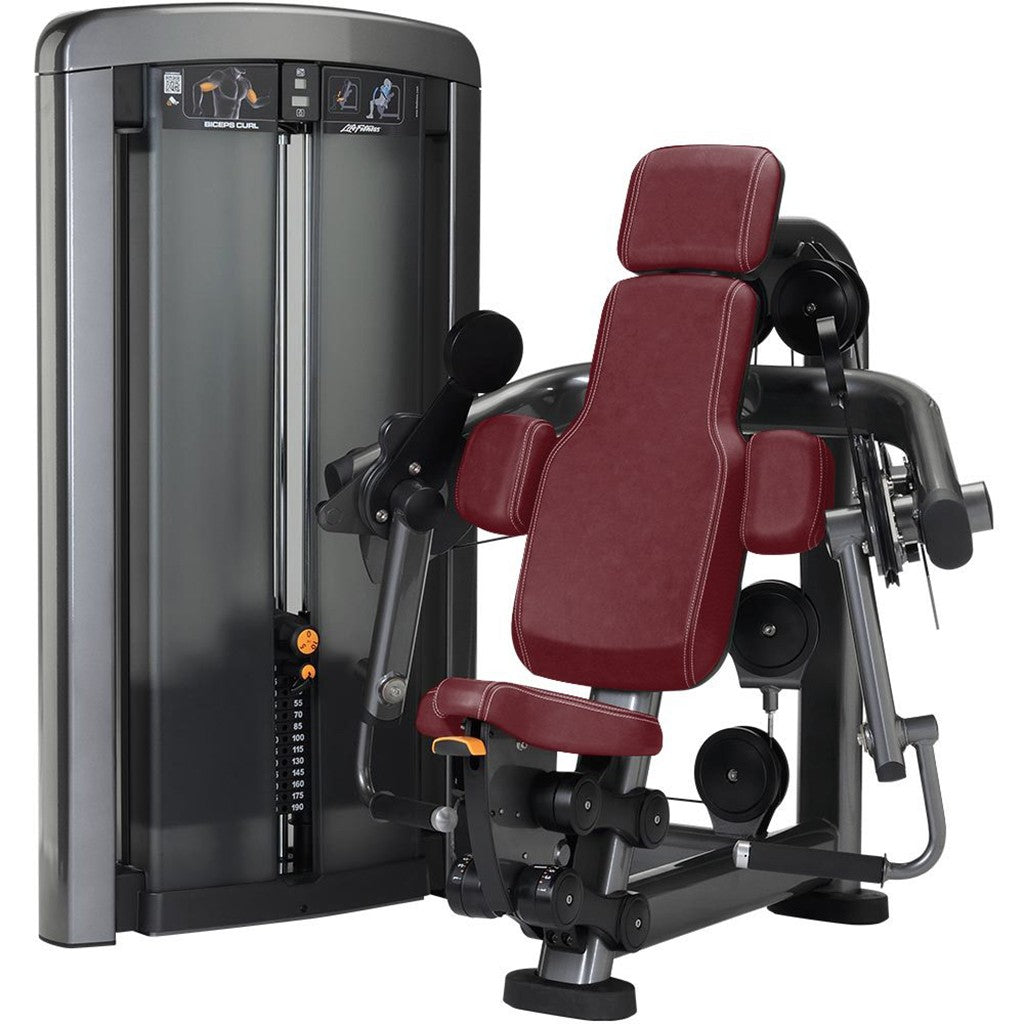 Insignia Series Biceps Curl Luxury