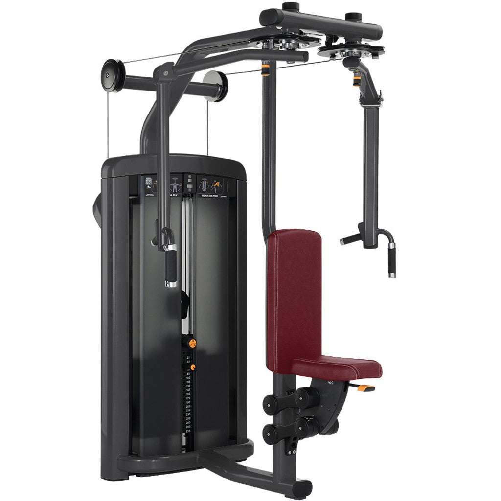 Insignia Series Pectoral Fly Rear Deltoid Standard