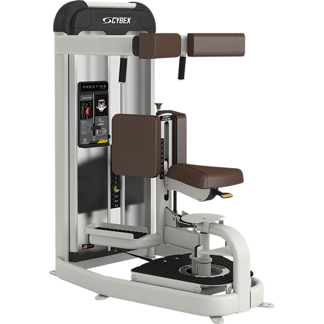 Prestige Strength Torso Rotation – Delta Fitness