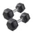 Rubber Coated Hex Dumbbell 5–20KG Each