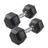 Rubber Coated Hex Dumbbell 5–20KG Each