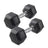 Rubber Coated Hex Dumbbell 5–20KG Each