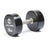 Polyurethane Dumbbell Set Pair – Premium Strength Training Dumbbells Delta Fitness